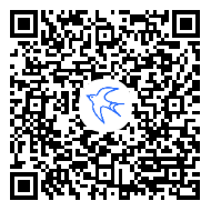 飞雁畅联为全球跨境电商业务提供专业客服系统支持